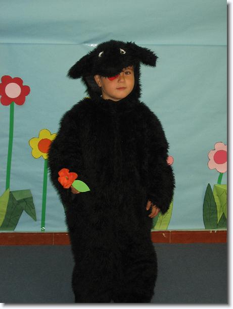 Diapositiva siguiente